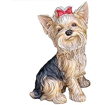 71RBd1CxVcL._AC_UL210_SR210,