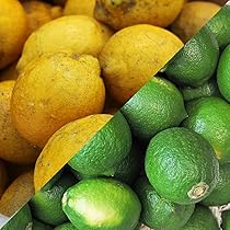 Amazon.co.jp: レモン 果実 カリフォルニア産 チリ産 2.5㎏ 約20