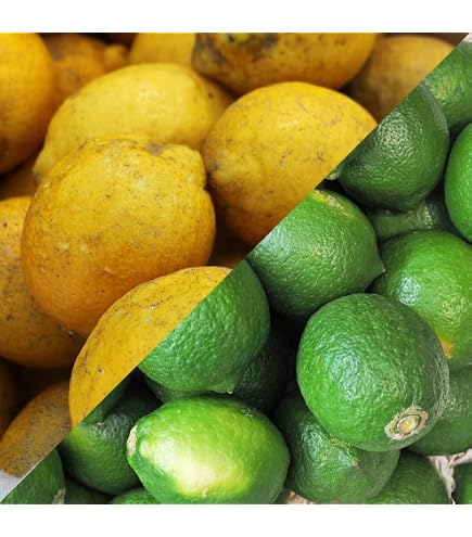 Amazon.co.jp: 国産レモン 農薬不使用 3kg 家庭用 訳あり 瀬戸田レモン