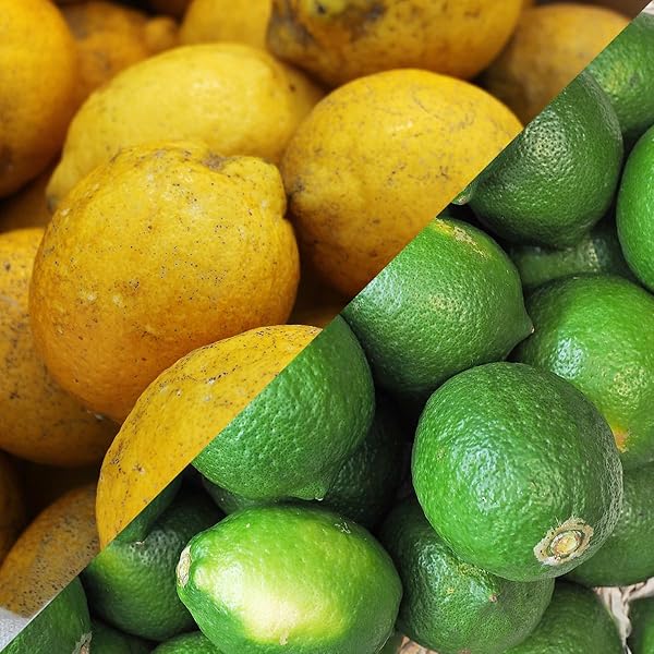 果物 lemon yoneda 0403172912_642a8e58d4420.jpg