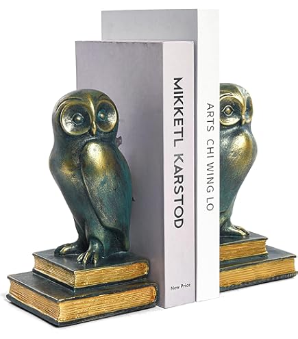 Amazon.co.jp: ホームデコレーション 鳥と本 ヴィンテージデザイン