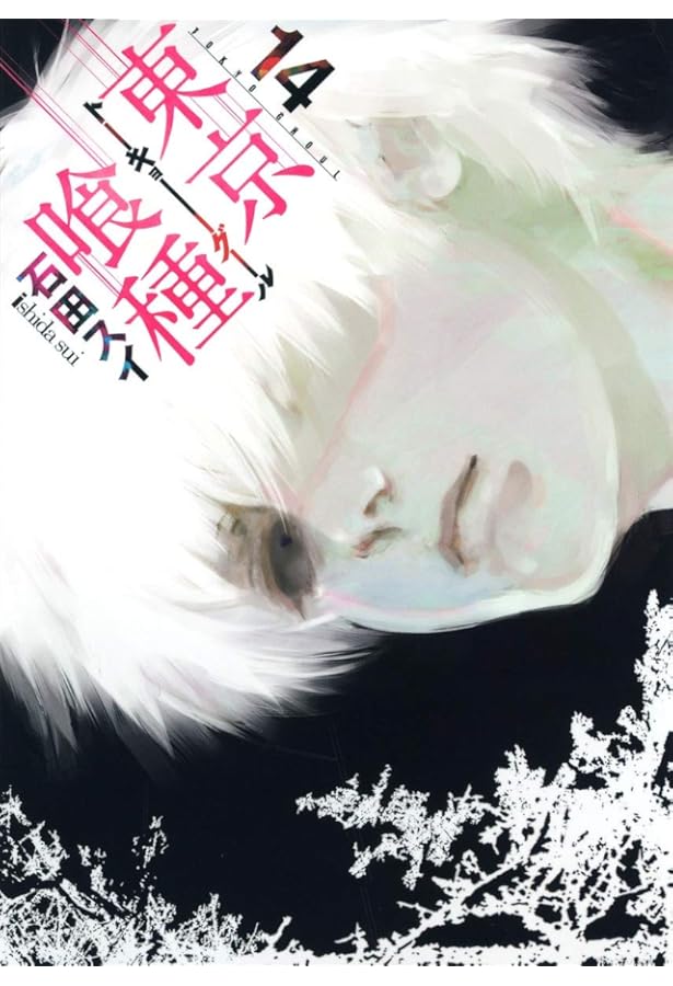 東京喰種 トーキョーグール 13 | 石田 スイ |本 | 通販 | Amazon
