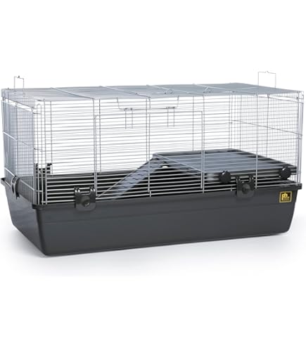 Kerbl Pet set de escalada Monte Baldo para gatos al mejor precio en