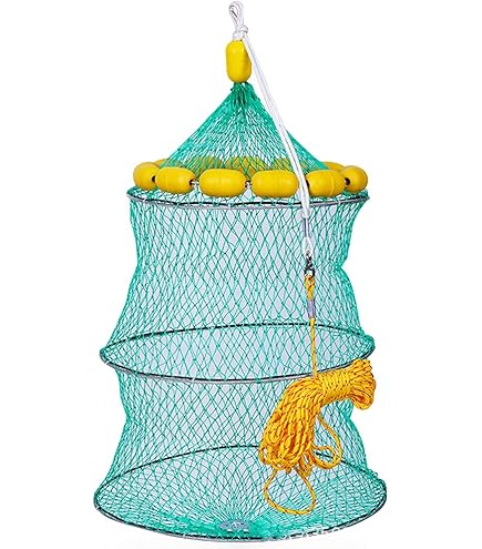 Amazon.co.jp: Alive KG-309 Rubber Hose Wound Scalli, Frame