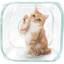 Amazon.co.jp: 猫壱 キャットプレイキューブ クリア 猫おもちゃ