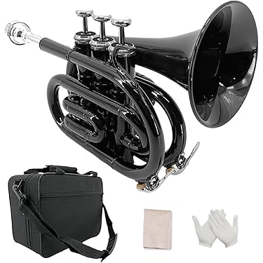 Amazon.co.jp 売れ筋ランキング: ポケットトランペット の中で最も人気