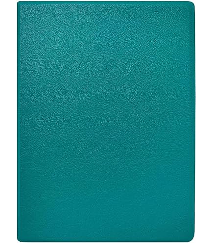 Amazon.co.jp: BOOX POKE 5 (6インチ) 電子書籍リーダー保護PUレザー