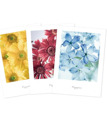 Amazon.co.jp: ポスター アート フラワーマーケット 花 ボタニカル 花