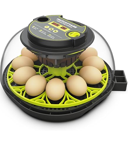 IBKINXX Incubator for Hatching Eggs-18 Egg Capacity, Automatic Egg