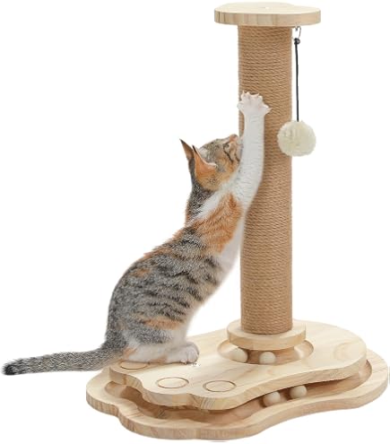 Amazon | ○B-blast キャットホイール ビーブラスト 猫用品 おもちゃ