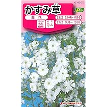 Amazon.co.jp: KS100 Series KS100 Series Kasumi Grass White