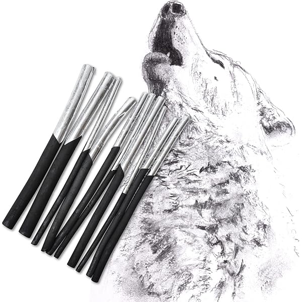 木炭デッサン 木炭で描く | 武蔵野美術大学造形学部油絵学科研究室 |本 | 通販