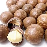 オーストラリア産 殻付きマカダミアナッツ (ロースト) (1kg)