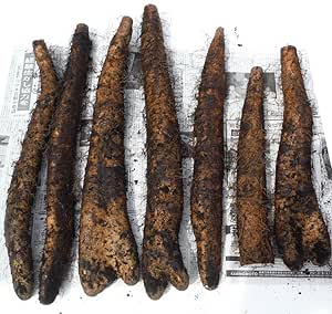 Amazon 長芋 青森県産 冬越し 春堀り 土付き 訳あり 9kg 2箱 めときの農家 西野悠 野菜 通販