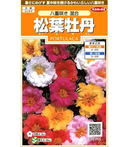 Amazon.co.jp: [ ツワブキ ] 福寿牡丹 : DIY・工具・ガーデン
