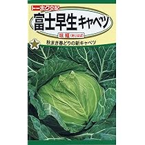 Amazon | 株式会社トーホク 富士早生キャベツ 味幅 03951 | 野菜