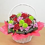 [エルフルール]【立て札無料】生花 お花おまかせ バスケットアレンジメント 開店祝い 開業祝い 移転祝い お祝い フラワーギフト (レッド系)