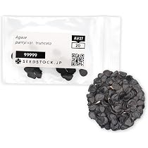 Amazon.co.jp: SEEDSTOCK アガベ パリー トランカータ 種子 20粒
