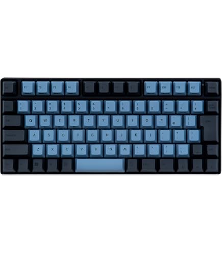 Amazon.co.jp: REALFORCE RC1 キーボード 対応 キーキャップ セット 22