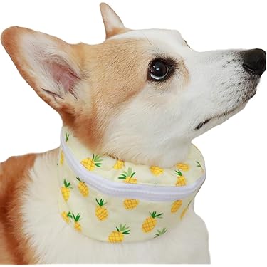 Amazon.co.jp 売れ筋ランキング: 犬用ネックレス・ペンダント の中で