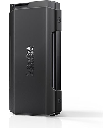 Amazon | SDPS31H-004T-GBC1D PRO-G40 SSD Thunderbolt 3/USB-C | サン