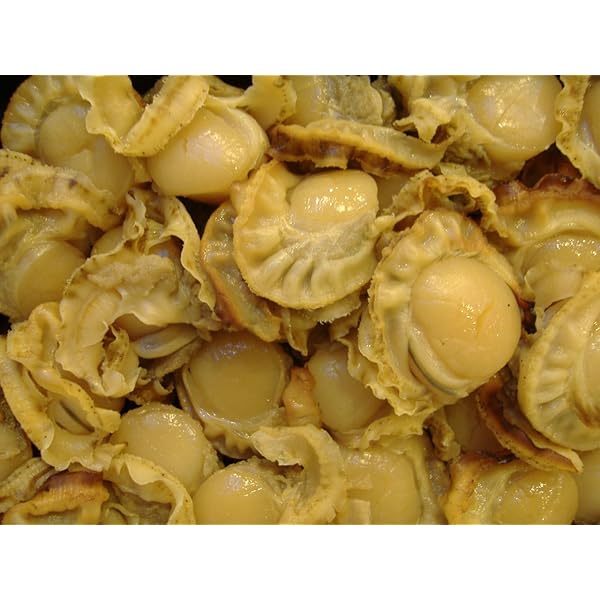 Amazon.co.jp: ベビー帆立 Mサイズ 100/150粒 1kg ボイル ホタテ