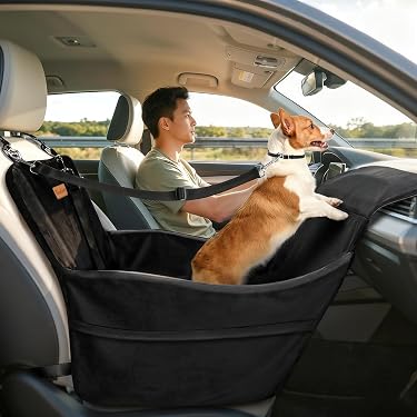 Amazon.co.jp 売れ筋ランキング: 犬用カー用品 の中で最も人気のある