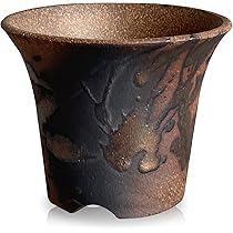 アガベ陶器鉢　植木鉢 71RmhpG4t7L._AC_UL210_SR210,