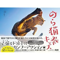 のら猫拳 | アクセント |本 | 通販 | Amazon