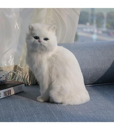 Amazon.co.jp: 魔法の妖精ペルシャ カッパのプリプリ ぬいぐるみ