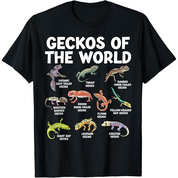 Amazon | Tortoises Of The World カワイイタイプのカメ 面白い