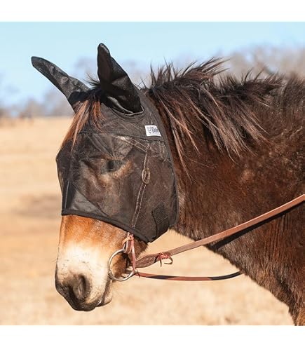 Mule Fly Mask Crusader With Ear And Nose Protection A Arab / Small Horse / Large Donkey Grey