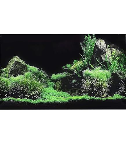 Amazon | GEXジェックス GXー11 バックスクリーン60写真付黒地