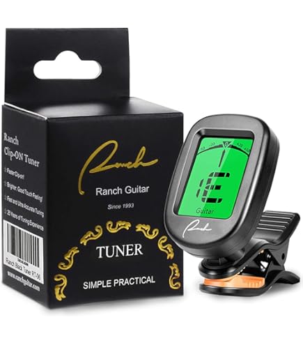 Amazon | 4/4 メ プルメタリック エレクトリック/サイレントバイオリン