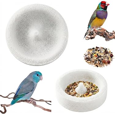 Amazon.co.jp 最新リリース: 鳥用品 の新着ランキングです。