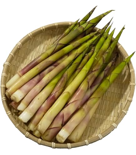 Amazon.co.jp: 合馬たけのこ 2kg、新鮮筍、5本〜7本入り : 食品・飲料
