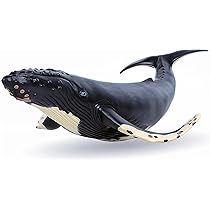 Amazon | EUHELOPA クジラ シロナガスクジラ フィギュア 大きい