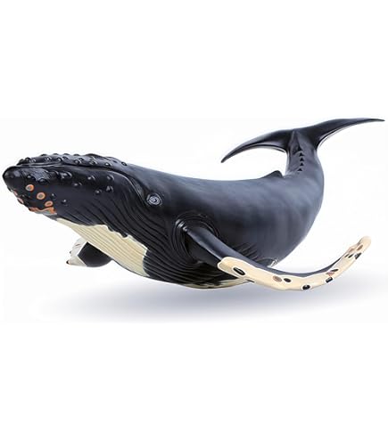 サファリ レプリカ イッカク Amazon.co.jp: Safari Ltd. サファリ レプリカ イッカク : おもちゃ