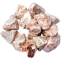 71Rz1DlekQL._AC_UL210_SR210,