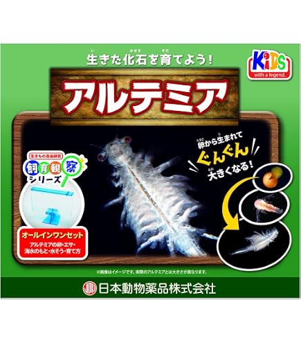 Amazon | 海の動物園! シーモンキーズ ブルーセット | 生物・動物