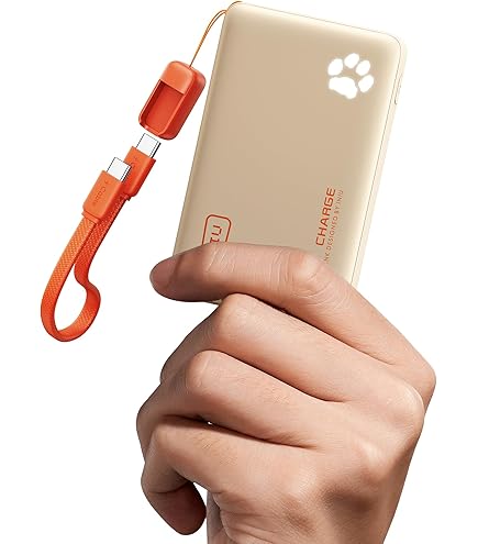 Amazon | NEW ＜ 国内在庫 ＞ Niche Phone-S/ニッチフォン-S（注意