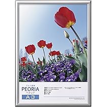 デビッド セダリア　額縁 Amazon.co.jp: ハクバ 【Amazon.co.jp限定】HAKUBA アルミ額縁