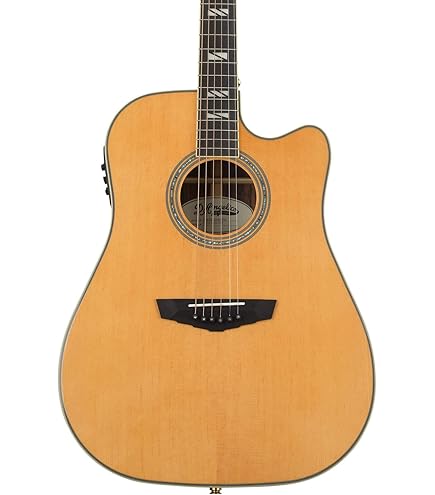 Amazon | D'Angelico Excel Tammany XT, Vintage Sunburst | エレアコ