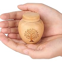 71S9ayzNcoL._AC_UL210_SR210,