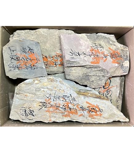 Amazon | 天然砥石 山城銘砥 原石粗石 奥殿巣板祭り 中山 大突 菖蒲谷