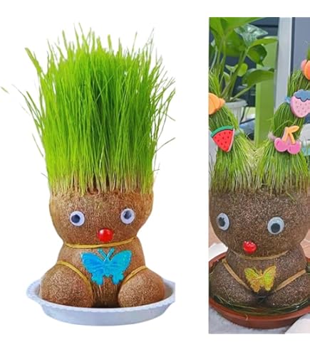 Amazon｜成長する草の頭の人形 | ミニ鉢植えデスクプラント,栽培培地