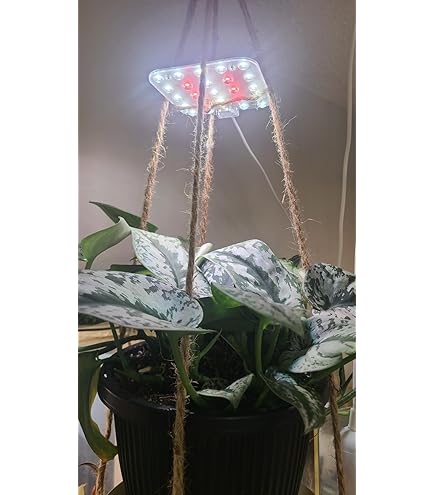 Amazon.co.jp: LED植物育成ライト、赤+青+黄ライト、屋内植物用、4/8
