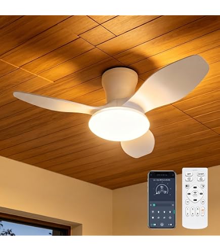 Amazon.co.jp : SUKITEN シーリングファンライト 8-10畳 Φ81cm 【2026