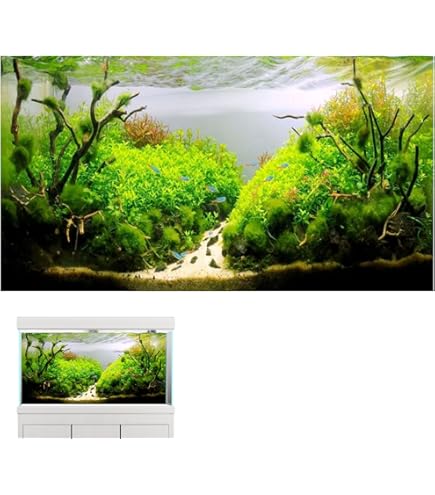 Amazon | ジェックス GX-11 バックスクリーン60cm水槽用 (写真付黒地