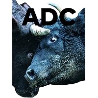 ART DIRECTION JAPAN/日本のアートディレクション 2019 | 東京